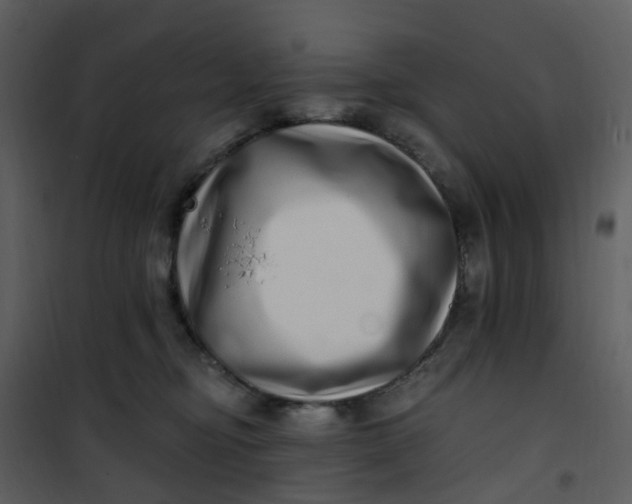 X0000101180374200807181453