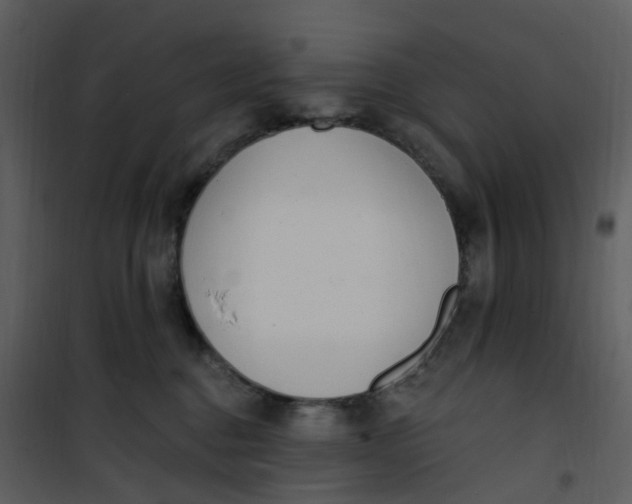 X0000101180376200807181453