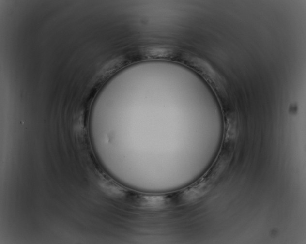 X0000101180377200807181453