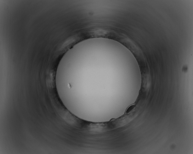 X0000101180378200807181453