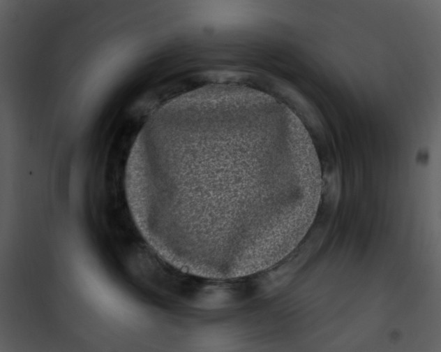 X0000101180381200807181453