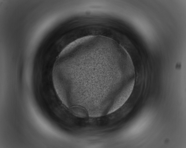 X0000101180383200807181453