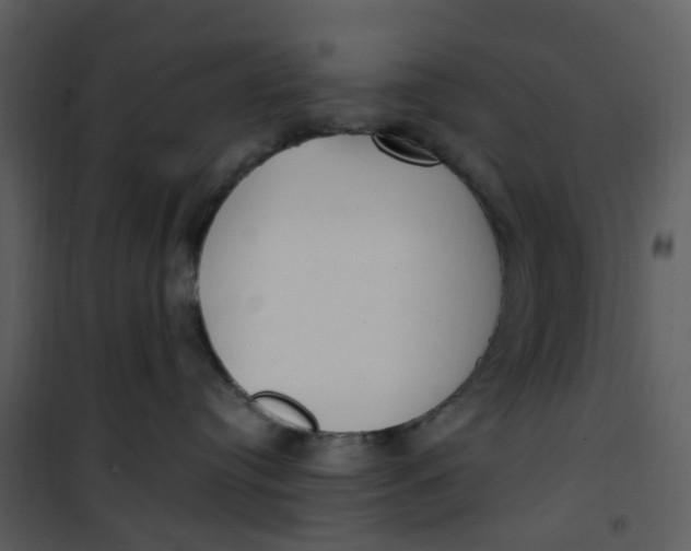 X0000101180384200807181453