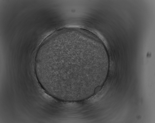 X0000101180385200807181453