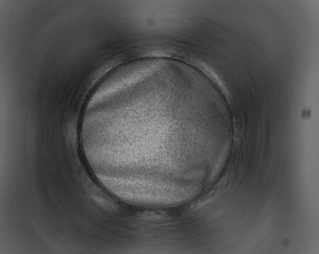 X0000101180386200807181453