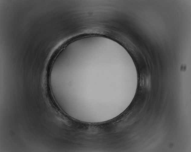 X0000101180388200807181453