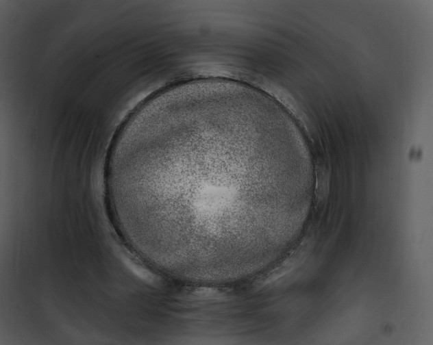 X0000101180390200807181453