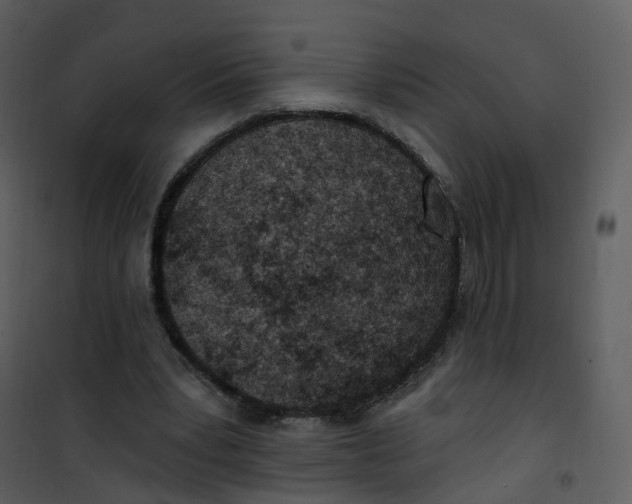 X0000101180391200807181453