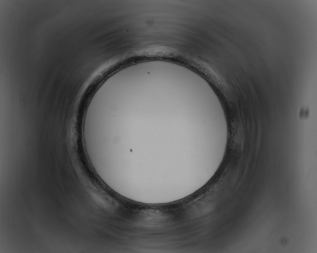 X0000101180392200807181453