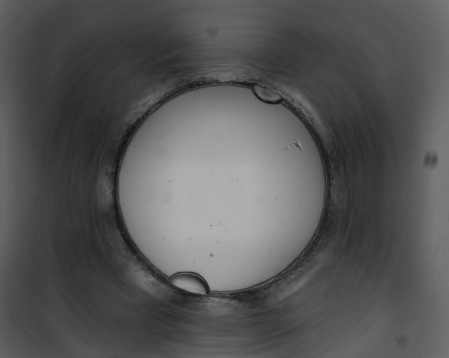 X0000101180393200807181453