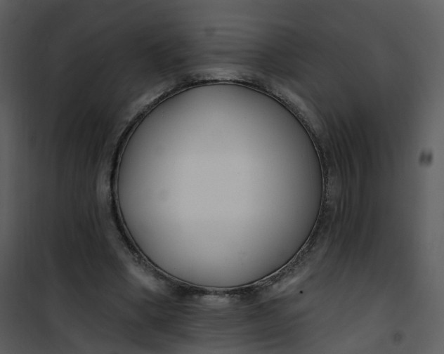 X0000101180394200807181453