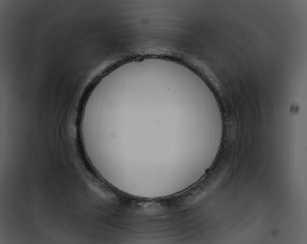 X0000101180395200807181453