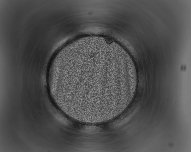 X0000101180399200807181453