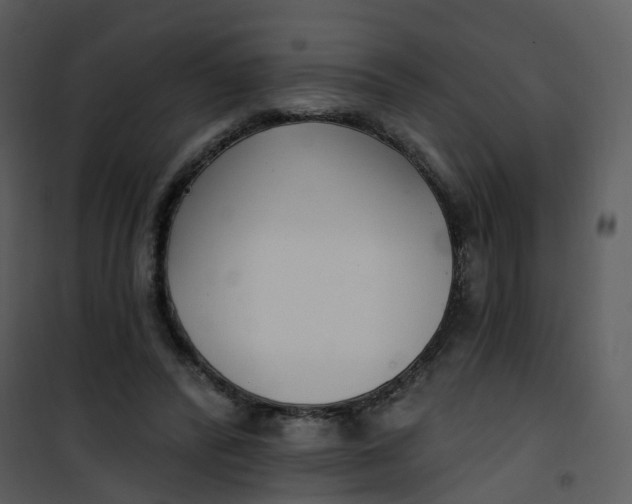 X0000101180400200807181453