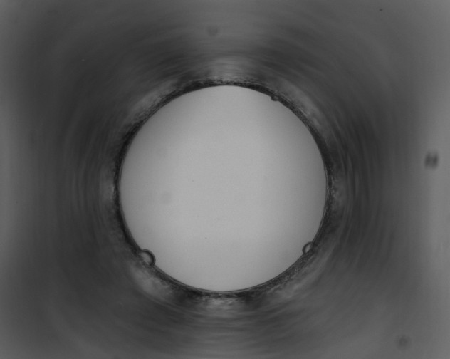 X0000101180401200807181453