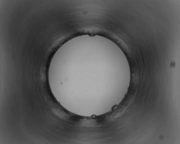 X0000101180403200807181453