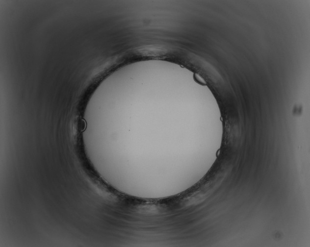 X0000101180404200807181453