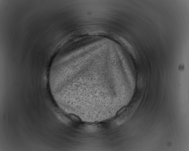 X0000101180405200807181453