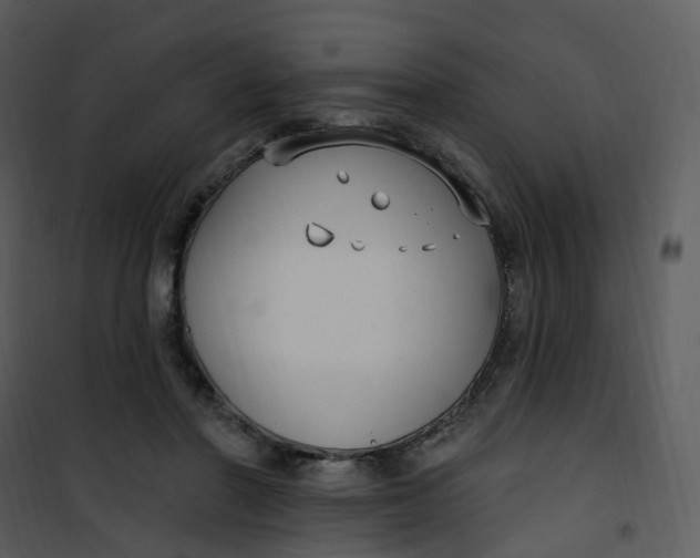 X0000101180406200807181453