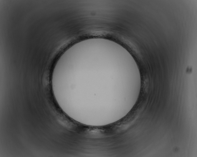 X0000101180407200807181453