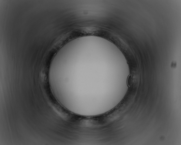 X0000101180408200807181452