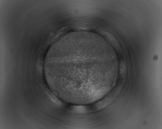 X0000101180409200807181452