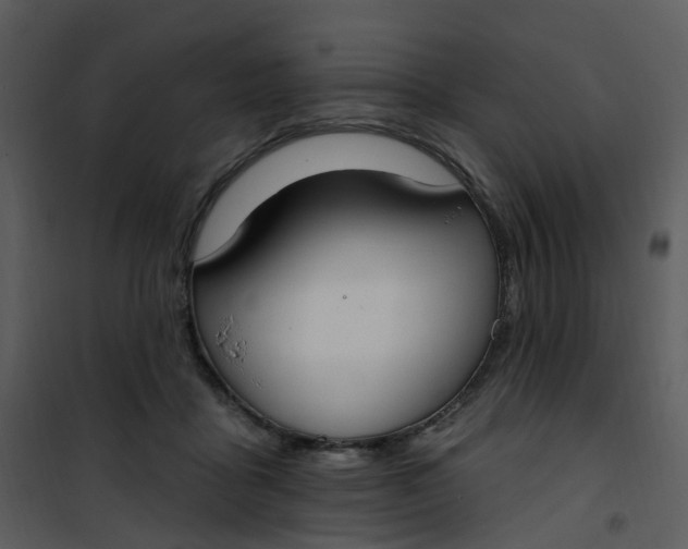 X0000101180411200807181452