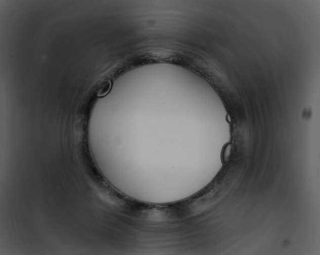 X0000101180412200807181452