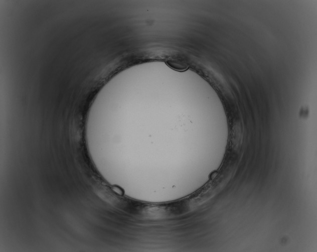 X0000101180413200807181452