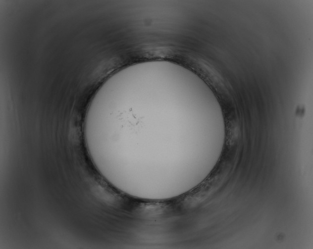 X0000101180414200807181452