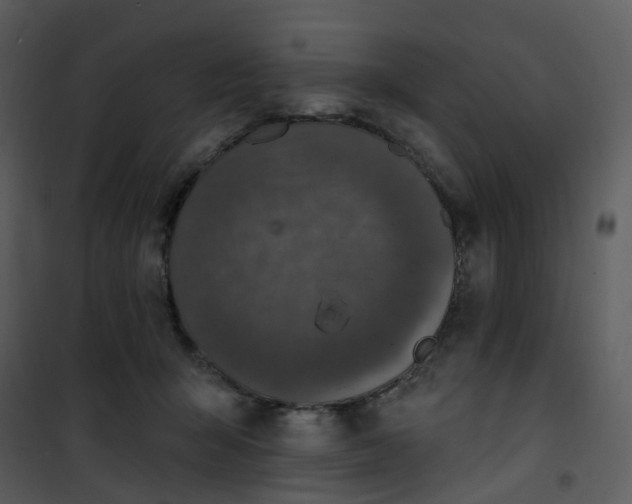 X0000101180415200807181452