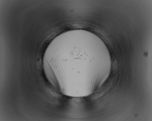 X0000101180418200807181452