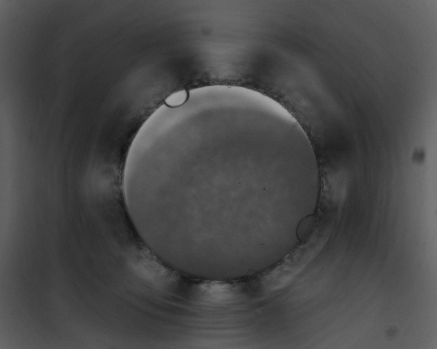 X0000101180419200807181452