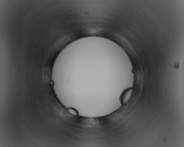 X0000101180421200807181452