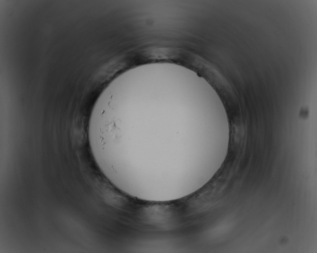 X0000101180422200807181452