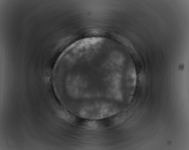 X0000101180423200807181452