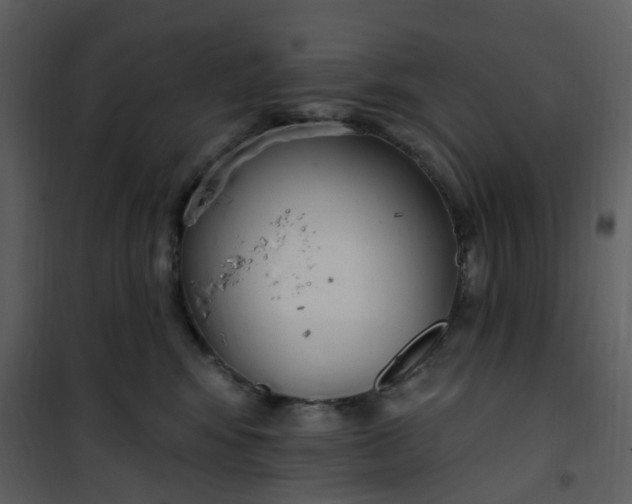 X0000101180424200807181452