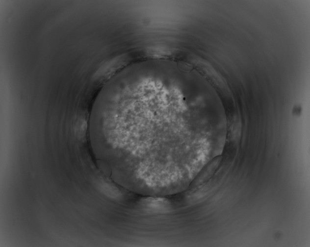 X0000101180427200807181452