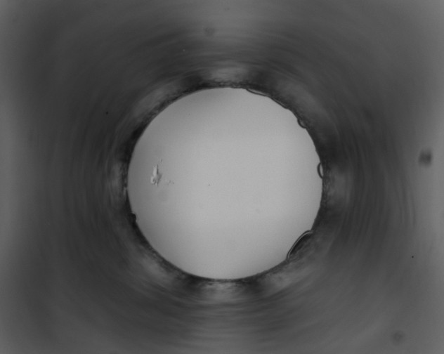 X0000101180428200807181452