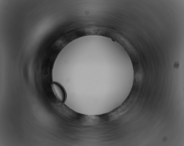 X0000101180429200807181452