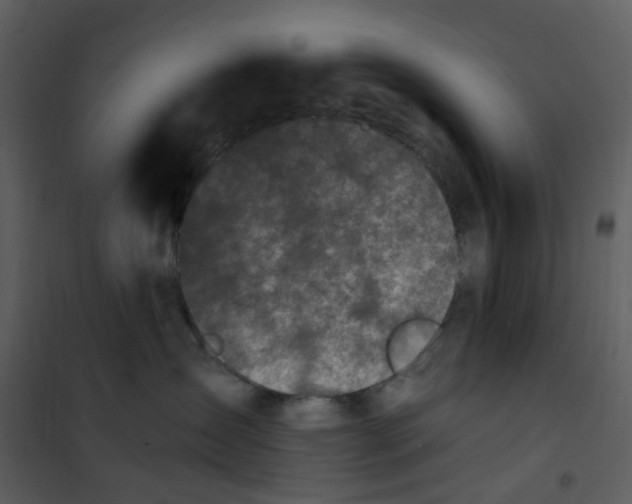 X0000101180431200807181452