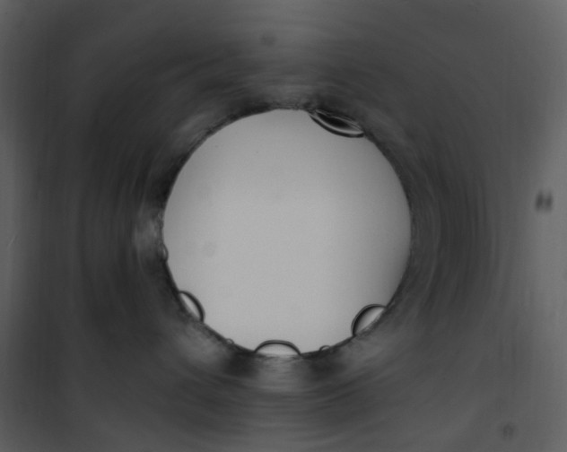 X0000101180432200807181452