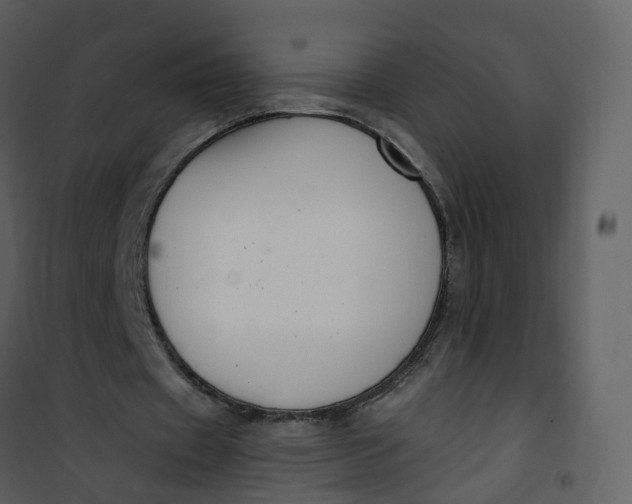 X0000101180433200807181451