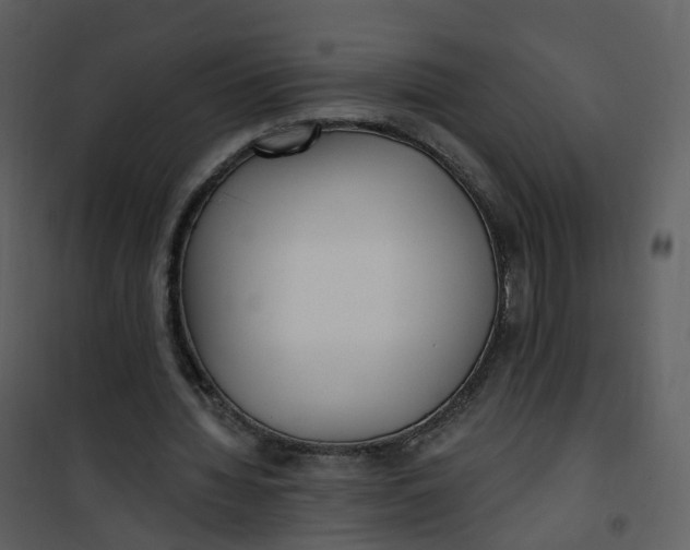 X0000101180436200807181452