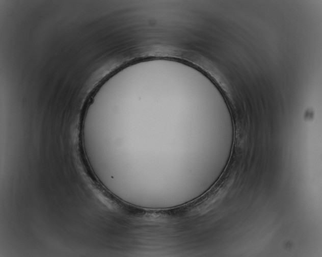 X0000101180437200807181452