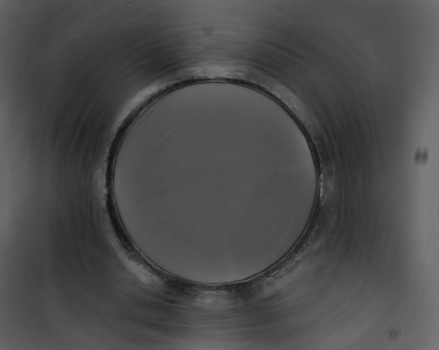 X0000101180438200807181452