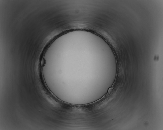 X0000101180439200807181452