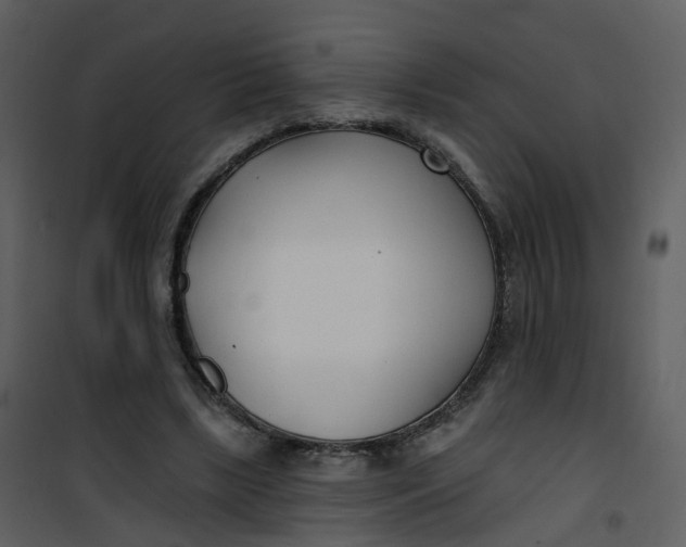 X0000101180443200807181452