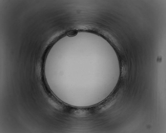 X0000101180444200807181452