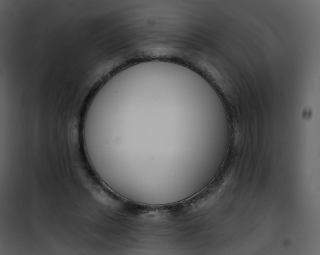 X0000101180447200807181452